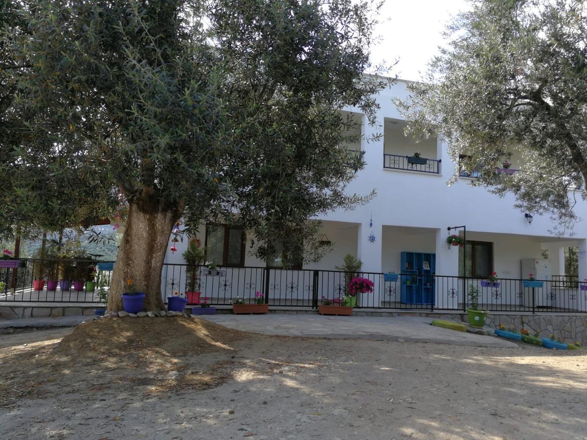 Kaymak Tepesi Tatil Evi Bed & Breakfast Kucukkuyu Bagian luar foto