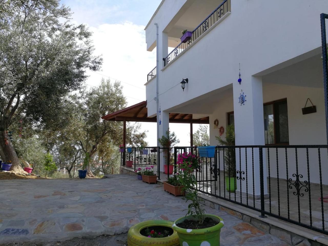 Kaymak Tepesi Tatil Evi Bed & Breakfast Kucukkuyu Bagian luar foto